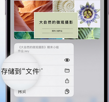 南安apple维修中心分享iPhone文件应用中存储和找到下载文件