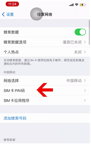 南安苹果14维修网分享如何给iPhone14的SIM卡设置密码 