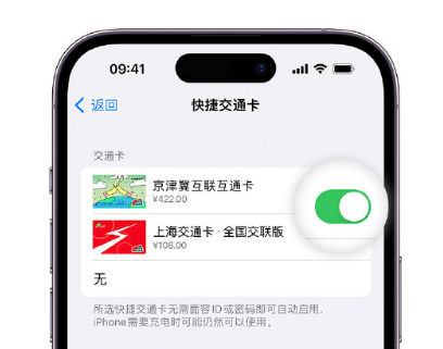 南安apple维修点分享iPhone上更换Apple Pay快捷交通卡手绘卡面 