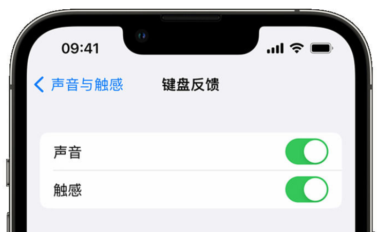 南安苹果手机维修分享iPhone 14触感键盘使用方法 