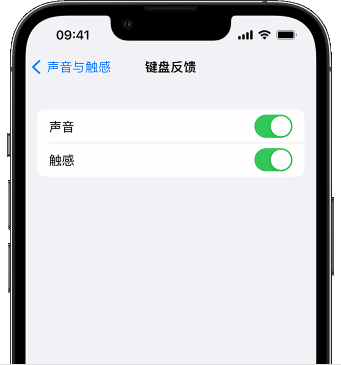 南安苹果14维修店分享如何在 iPhone 14 机型中使用触感键盘 