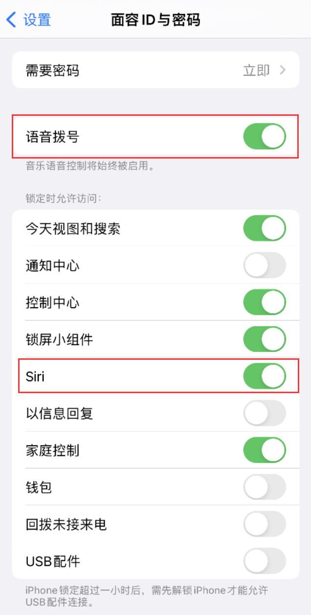 南安苹果维修网点分享不解锁 iPhone 的情况下通过 Siri 拨打电话的方法 