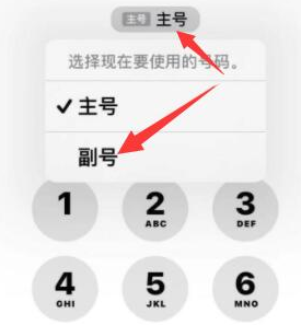 南安苹果14维修店分享iPhone 14 Pro Max使用副卡打电话的方法 