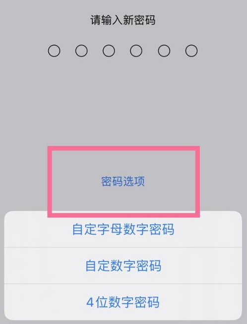 南安苹果14维修分享iPhone 14plus设置密码的方法 