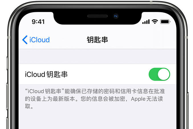 南安苹果手机维修分享在 iPhone 上开启 iCloud 钥匙串之后会储存哪些信息 